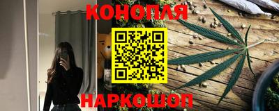 прущие грибы Новодвинск